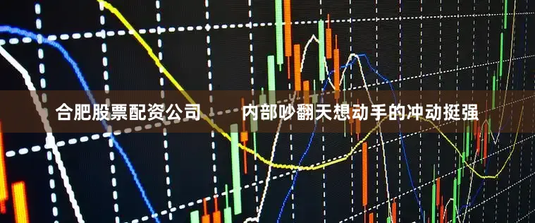 合肥股票配资公司        内部吵翻天想动手的冲动挺强