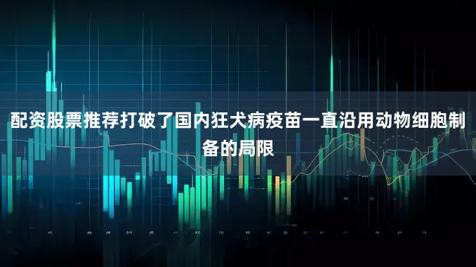 配资股票推荐打破了国内狂犬病疫苗一直沿用动物细胞制备的局限