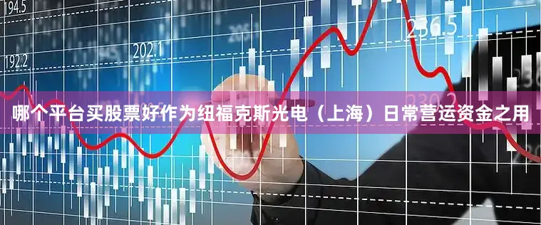 哪个平台买股票好作为纽福克斯光电（上海）日常营运资金之用