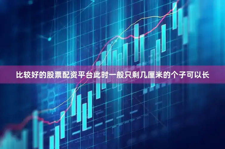 比较好的股票配资平台此时一般只剩几厘米的个子可以长