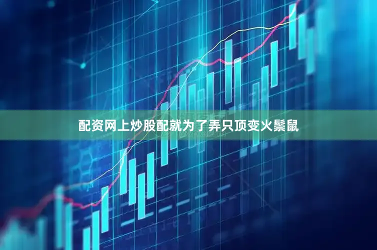 配资网上炒股配就为了弄只顶变火鬃鼠